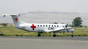 Governo Yemen, Houthi sequestrano aereo Croce Rossa, in ostaggio i piloti