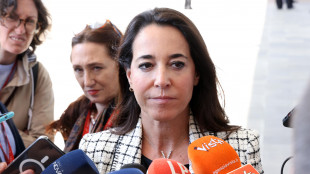 Dati rubati: Ronzulli, 'mai chiesto alcun dossier'