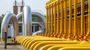 Bef&uuml;llung der Gasspeicher l&auml;uft nur schleppend - sehr kalter Winter w&auml;re Problem