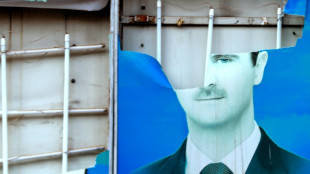 Syrie: ce que l'ont sait de la fuite du pr&eacute;sident Bachar al-Assad