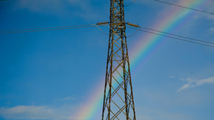 Censis-Confcoop, da nucleare a gas, italiani pragmatici su energia