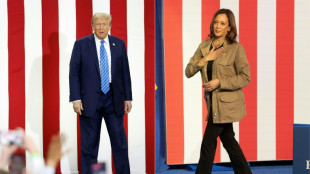 Droit &agrave; l'avortement et fronti&egrave;re: Harris et Trump en d&eacute;tour au Texas