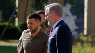 Zelenski se re&uacute;ne con el presidente turco en una gira para presionar a la OTAN