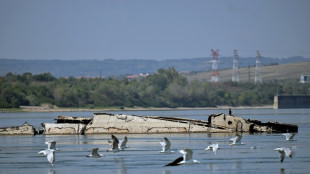 80 ans apr&egrave;s l'op&eacute;ration "Danube Elf", la flotte nazie resurgit du Danube