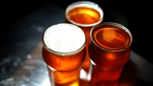 132 Tanklastz&uuml;ge Bier: Bahn-Bordbistros verzeichnen wegen EM-Fans hohe Ums&auml;tze