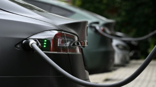 Le v&eacute;hicule &eacute;lectrique perd son &eacute;lan aux Etats-Unis