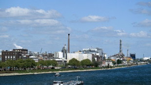 German 'chemical town' fears impact of industrial decline