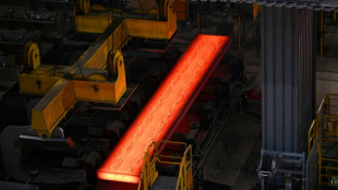 EU eyes higher steel tariffs, taking page from US