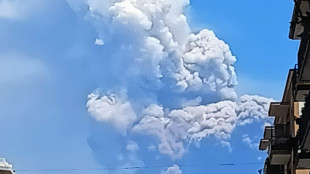 ++ Crolla parte cratere Etna, nube eruttiva alta chilometri ++