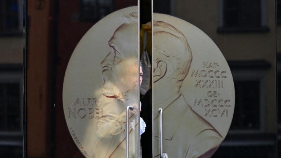 Literatur-Nobelpreis: Experten erwarten m&auml;nnlichen Preistr&auml;ger aus dem Westen