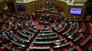 Budget de la S&eacute;cu: le S&eacute;nat s'empare d'un projet truff&eacute; d'irritants pour le socle commun