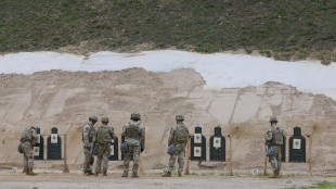 Esercito Usa, 'se rimani arruolato avrai un permesso per giocare a Gta VI'