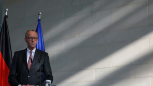 Chancellor swap? Rumours swirl about German leader Merz's future