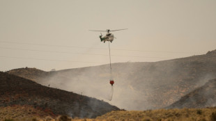 Evacuees allowed to return home after deadly wildfire in Spain stabilises