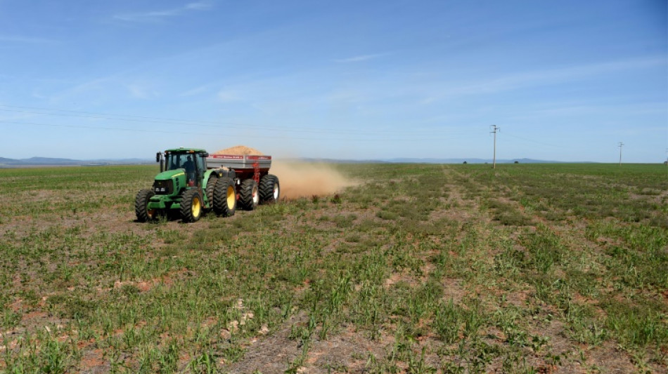 Erzeugerpreise f&uuml;r landwirtschaftliche Produkte im November leicht gesunken