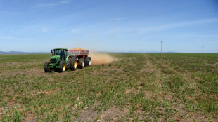 Erzeugerpreise f&uuml;r landwirtschaftliche Produkte im November leicht gesunken