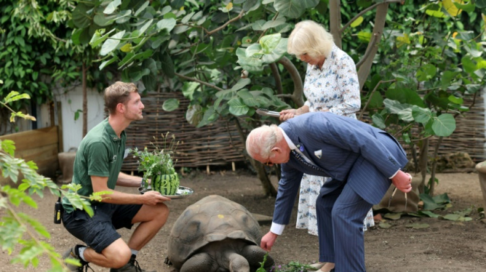 King in shades braves heat to visit London zoo