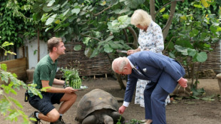 King in shades braves heat to visit London zoo