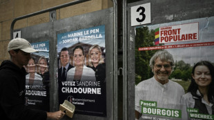 L&eacute;gislatives: climat &eacute;lectrique dans la campagne, la majorit&eacute; toujours incertaine