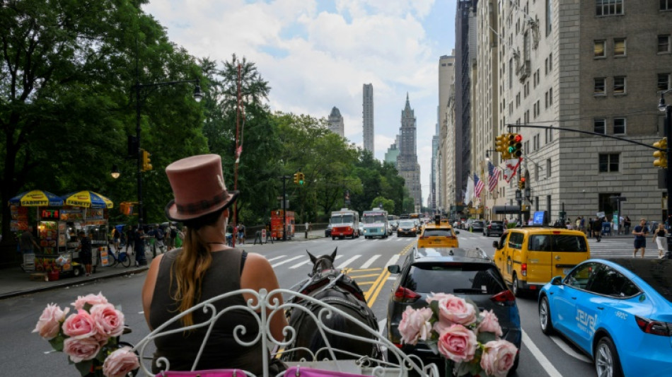 Central Park horse-drawn carriages face ride into the sunset