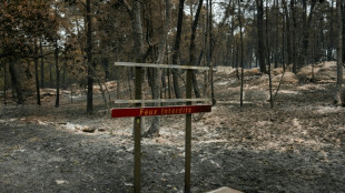 Detenido un nuevo sospechoso por el incendio en un bosque cerca de Par&iacute;s