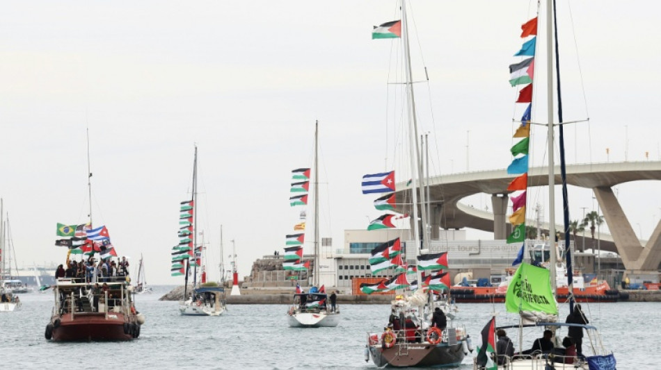Activistas de la Flotilla para Gaza denuncian un presunto abuso "cruel" y "s&aacute;dico"