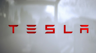 Musk: Tesla-Aktion&auml;re sollen in KI-Startup xAI investieren