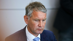 Prozess gegen H&ouml;cke: Anklage fordert Bew&auml;hrungsstrafe - Verteidigung Freispruch