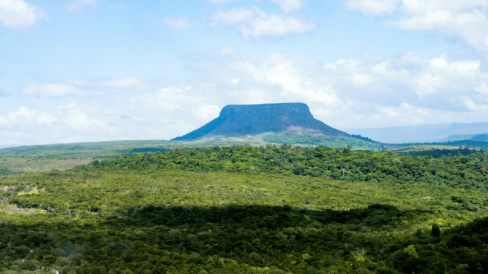 "Ici, c'est le Guyana", clame-t-on dans l'Essequibo revendiqu&eacute; par le Venezuela
