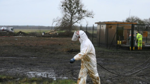 Erd&ouml;lhavarie in Brandenburg: Abtransport von Erde beginnt - Bach betroffen