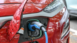 Habeck will Weg f&uuml;r E-Autos als Stromspeicher ebnen