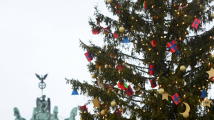 86 Prozent der Tarifbesch&auml;ftigten erhalten Weihnachtsgeld - H&ouml;he sp&uuml;rbar gestiegen