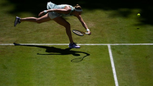 Donna Vekic e Petra Kvitova v&atilde;o disputar final do WTA 500 de Berlim