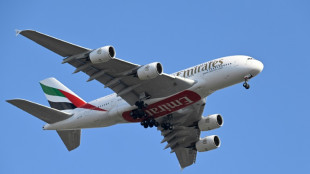 Le groupe Emirates annonce un b&eacute;n&eacute;fice annuel record de 5,1 milliards de dollars 