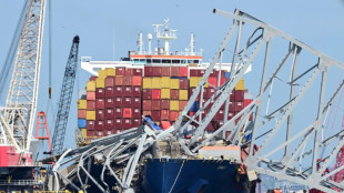 EEUU demanda a dos empresas por el choque de un buque contra un puente en Baltimore
