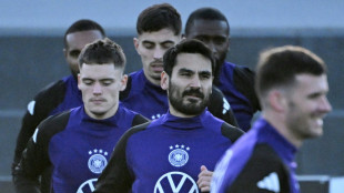 DFB-Training mit G&uuml;ndogan und Wirtz