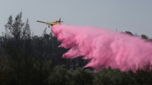 Des routes rouvertes en Israël mais les pompiers luttent toujours contre le feu