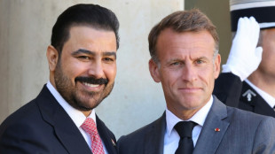 Diversification des routes du p&eacute;trole, d&eacute;fense: Paris et Badgad consolident leurs liens