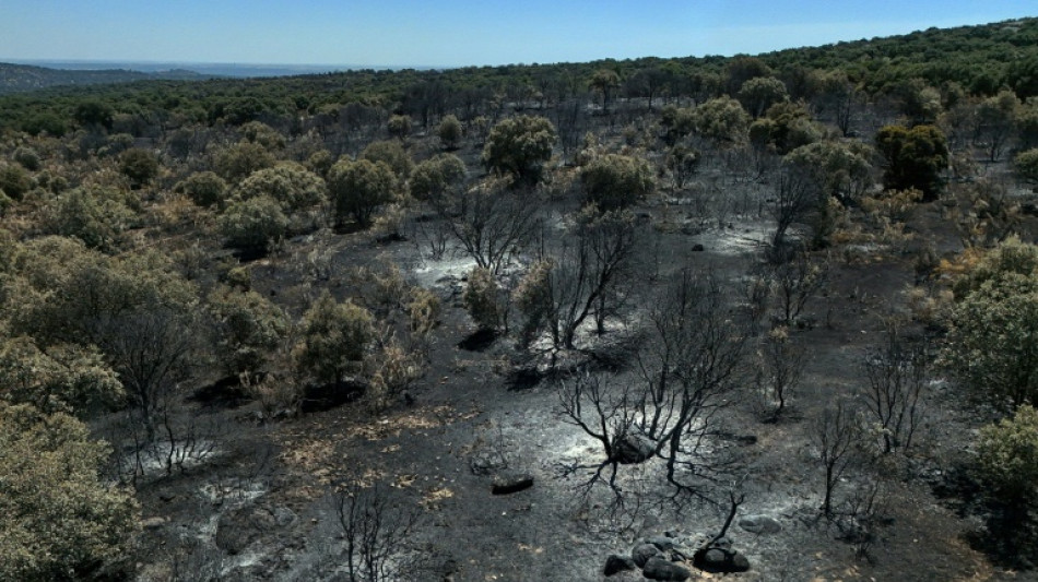 Los evacuados por los incendios en Espa&ntilde;a huyeron con lo puesto