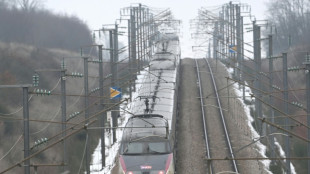 Colisi&oacute;n entre un tren y un cami&oacute;n con material militar deja un muerto y dos heridos cr&iacute;ticos en Francia