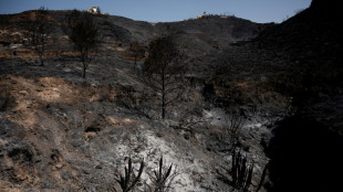 Espa&ntilde;a otra vez en alerta por incendios forestales tras fuego en el noreste