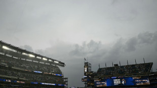 France-Iraq World Cup game suspended due to severe weather alert