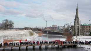 Thousands join Danish war vets' silent march after Trump 'insult'
