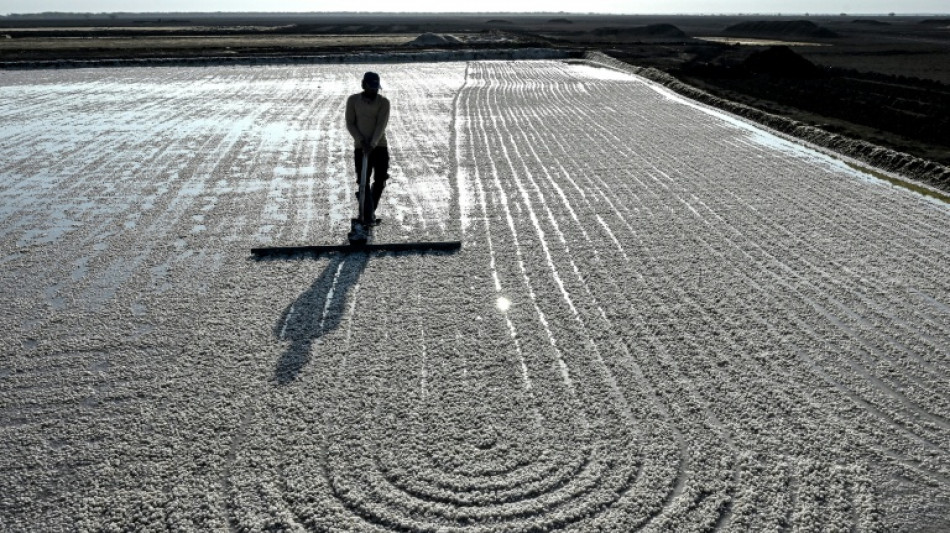 Dans le d&eacute;sert de l'ouest de l'Inde, r&eacute;colter du sel dans la fournaise