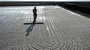 Dans le d&eacute;sert de l'ouest de l'Inde, r&eacute;colter du sel dans la fournaise