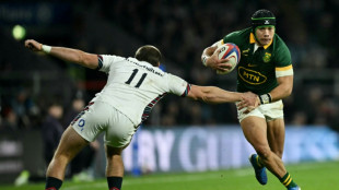Springbok milestones loom for Willemse and Kolbe against England