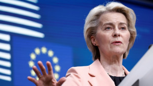 Von der Leyen sous pression des eurod&eacute;put&eacute;s apr&egrave;s un recrutement contest&eacute;