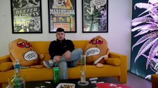 'Things you never learn in school': Croatia's cannabis museum