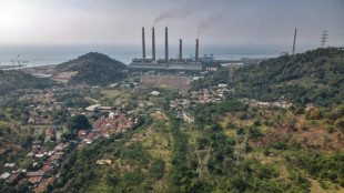 Industriestaaten sagen Indonesien 20 Milliarden Dollar f&uuml;r Energiewende zu