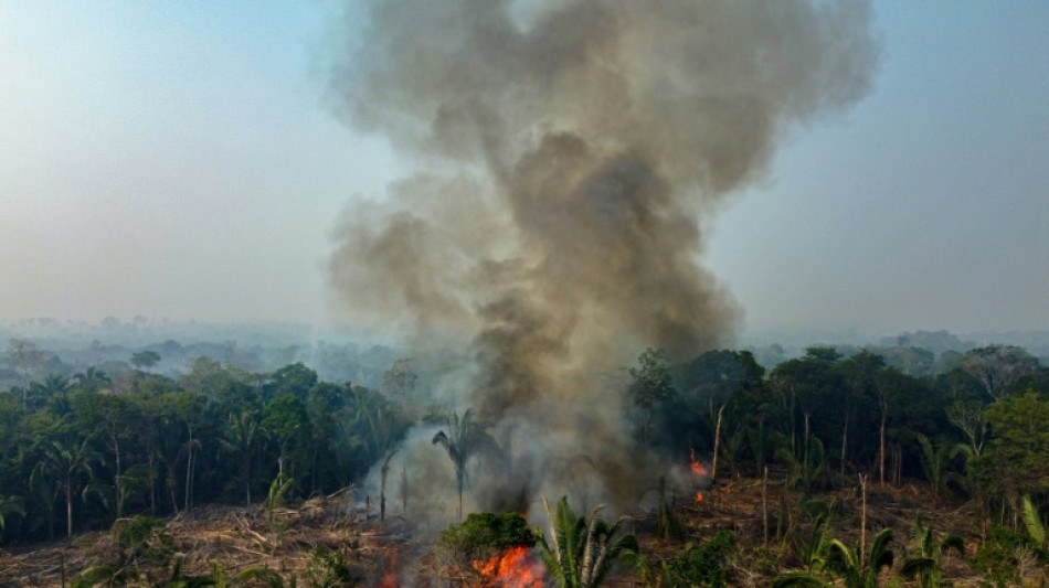Amaz&ocirc;nia Legal registra quase 3.000 inc&ecirc;ndios, um recorde para o m&ecirc;s de fevereiro